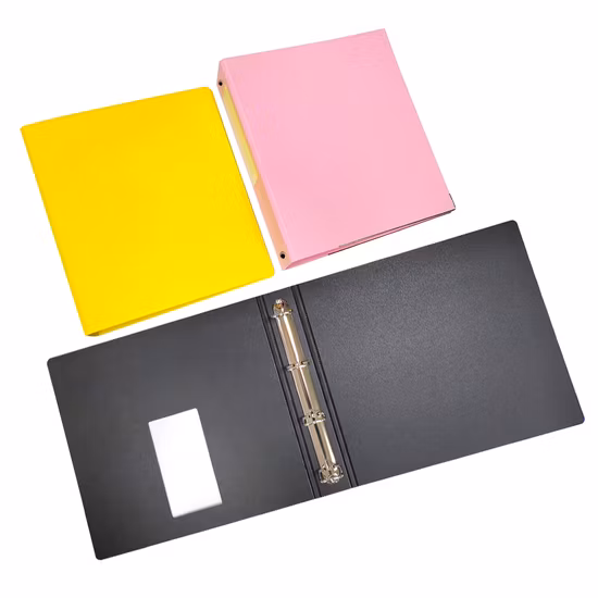 New Design Custom Plastic Display Books Leather Samples Catalogue Sample Folder Book